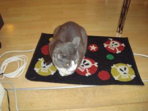 <img300*0:stuff/z/1/Lilo10years/DSC04459.JPG>