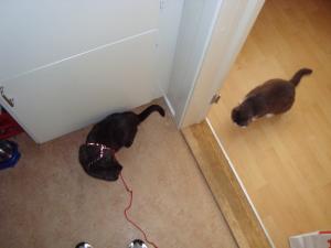 <img300*0:stuff/z/1/Lilo10years/DSC04461.JPG>