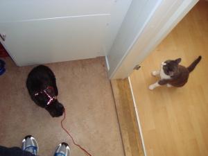 <img300*0:stuff/z/1/Lilo10years/DSC04462.JPG>