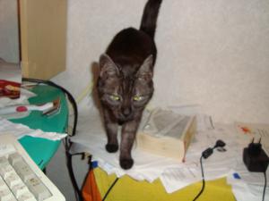 <img300*0:stuff/z/1/LiloCamera/DSC00347.JPG>