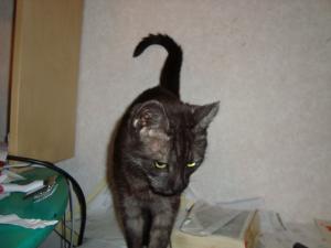 <img300*0:stuff/z/1/LiloCamera/DSC00348.JPG>