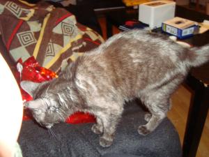 <img300*0:stuff/z/1/LiloCamera/DSC00350.JPG>