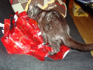 <img300*0:stuff/z/1/LiloCamera/DSC00352.JPG>