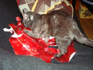 <img300*0:stuff/z/1/LiloCamera/DSC00353.JPG>