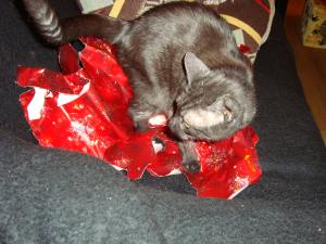 <img300*0:stuff/z/1/LiloCamera/DSC00354.JPG>