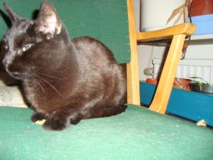 <img300*0:stuff/z/1/LiloKaliSonic/DSC08796.JPG>