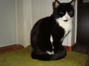 <img300*0:stuff/z/1/LiloKaliSonic/DSC08798.JPG>