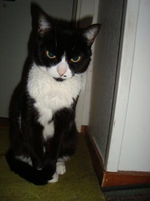 <img300*0:stuff/z/1/LiloKaliSonic/DSC08801.JPG>