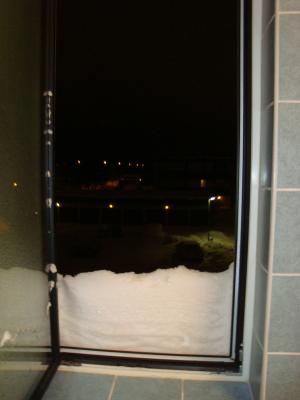 <img300*0:stuff/z/1/LiloKaliSonic/DSC08802.JPG>