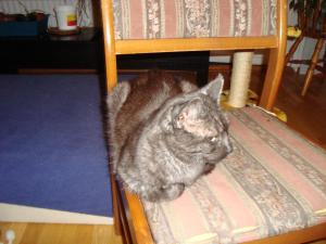 <img300*0:stuff/z/1/LiloLokeKiaJonne/DSC05141.JPG>