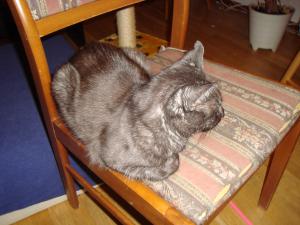 <img300*0:stuff/z/1/LiloLokeKiaJonne/DSC05142.JPG>