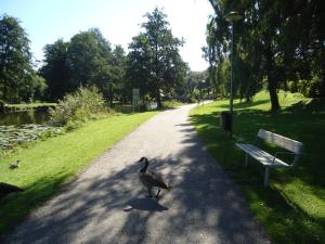<img300*0:stuff/z/1/LotOfExercise/dsc05098.jpg>