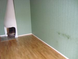 <img300*0:stuff/z/1/LottaMoving/DSC04666.JPG>