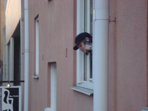 <img300*0:stuff/z/1/LottaMoving/DSC04677.JPG>