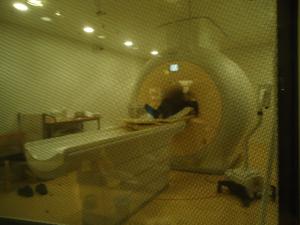 <img300*0:stuff/z/1/MRIhedda/dsc03752.jpg>