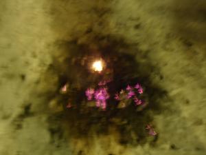 <img300*0:stuff/z/1/MasterThesisBurning/DSC07458.JPG>
