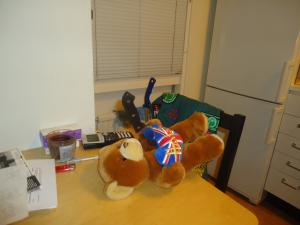 <img300*0:stuff/z/1/MasterThesisBurning/DSC07464.JPG>