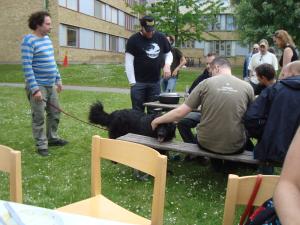 <img300*0:stuff/z/1/Midsommar2009/DSC04292.JPG>