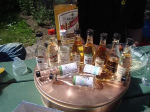 <img300*0:stuff/z/1/Midsummer2010/DSC01375.JPG>