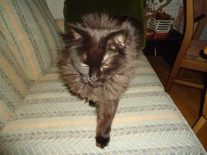 <img300*0:stuff/z/1/MillaVisiting/dsc05870.jpg>