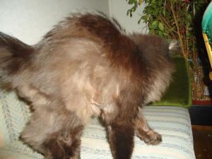 <img300*0:stuff/z/1/MillaVisiting/dsc05871.jpg>