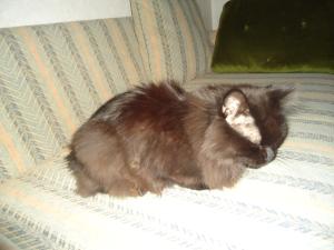 <img300*0:stuff/z/1/MillaVisiting/dsc05876.jpg>