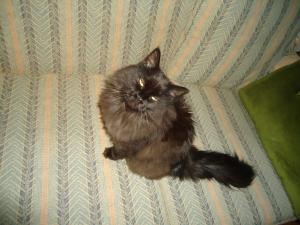 <img300*0:stuff/z/1/MillaVisiting/dsc05877.jpg>