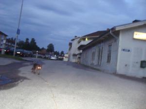 <img300*0:stuff/z/1/Mixed%25202010-07-14/DSC01712.JPG>