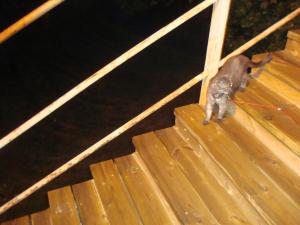 <img300*0:stuff/z/1/Mixed%25202010-07-14/DSC01720.JPG>