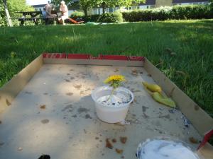 <img300*0:stuff/z/1/MixedArtisticStuff/DSC06666.JPG>
