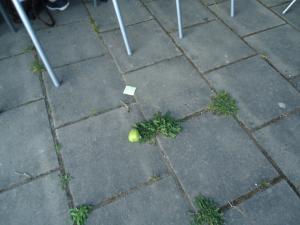 <img300*0:stuff/z/1/MixedStuff/dsc05000.jpg>