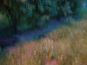 <img300*0:stuff/z/1/MixedStuff/dsc05009.jpg>
