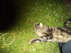 <img300*0:stuff/z/1/MixedStuff/dsc05017.jpg>