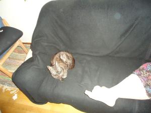 <img300*0:stuff/z/1/MixedStuff2011-04-25/dsc04441.jpg>