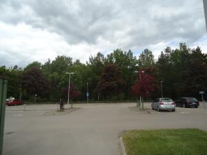 <img300*0:stuff/z/1/MixedStuff2012-06-01/DSC06680.JPG>