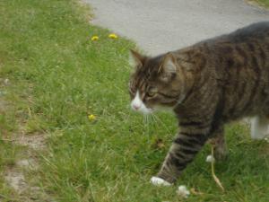 <img300*0:stuff/z/1/MixedStuff2012-06-01/DSC06683.JPG>