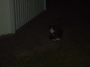 <img300*0:stuff/z/1/MixedStuff2012-07-28/DSC06854.JPG>