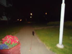<img300*0:stuff/z/1/MixedStuff2012-07-28/DSC06858.JPG>