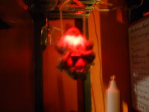 <img300*0:stuff/z/1/Mixedmix/DSC07882.JPG>