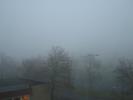 <img0*100:stuff/z/1/MoreFog/p1010001.jpg>