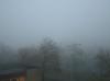 <img100*0:stuff/z/1/MoreFog/p1010001.jpg>