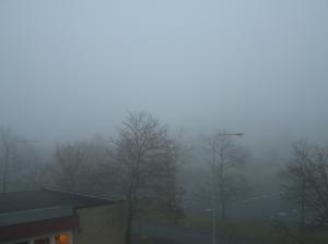 <img300*0:stuff/z/1/MoreFog/p1010001.jpg>