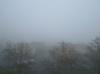 <img100*0:stuff/z/1/MoreFog/p1010002.jpg>