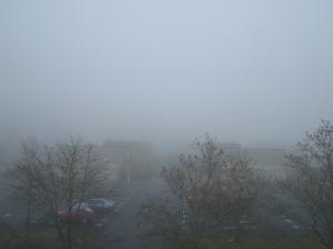 <img300*0:stuff/z/1/MoreFog/p1010002.jpg>
