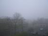 <img100*0:stuff/z/1/MoreFog/p1010003.jpg>