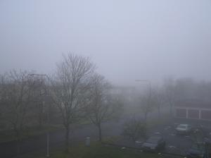<img300*0:stuff/z/1/MoreFog/p1010003.jpg>