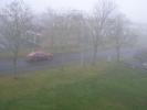 <img0*100:stuff/z/1/MoreFog/p1010004.jpg>