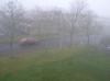 <img100*0:stuff/z/1/MoreFog/p1010004.jpg>