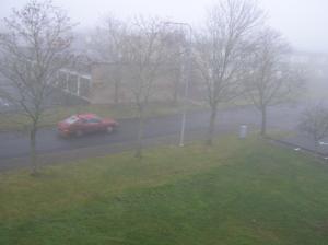 <img300*0:stuff/z/1/MoreFog/p1010004.jpg>