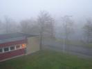 <img0*100:stuff/z/1/MoreFog/p1010005.jpg>